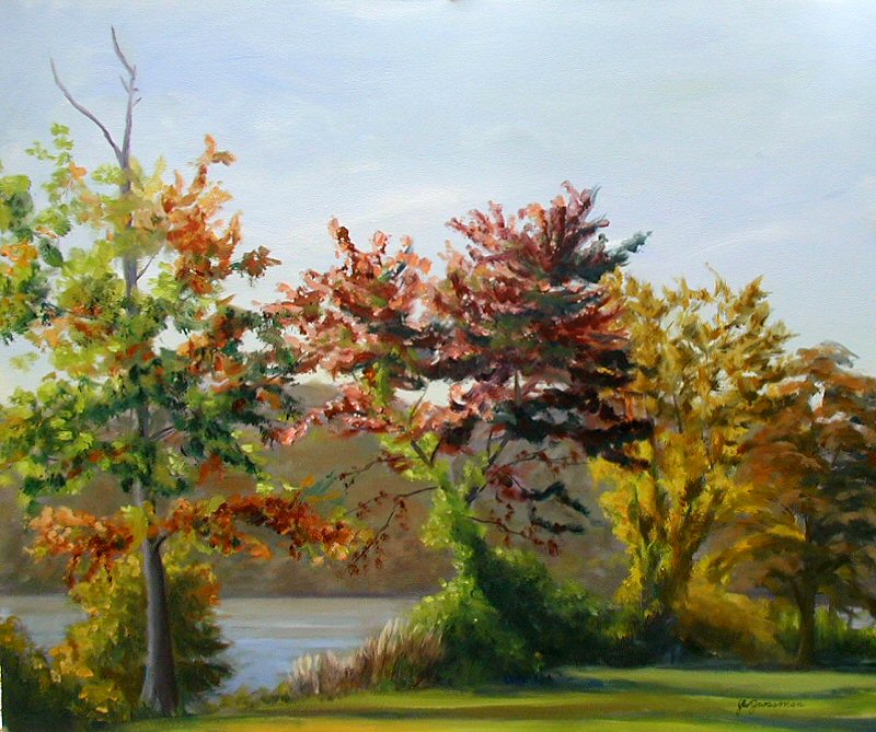 oil paintings of trees. 20×24″, oil on stretched